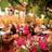 YYCPatios's profile image