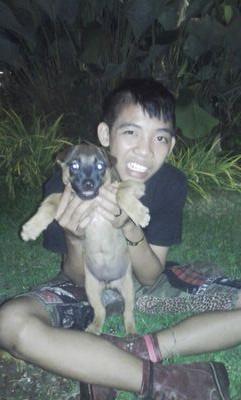 Deanovitasari({})