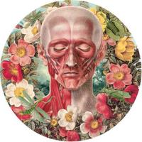 WSU Art in Medicine (@wsuaim) 's Twitter Profile