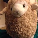 Carly Malone - @imonlyhuman333 - Twitter