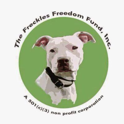 Pit bull rescue