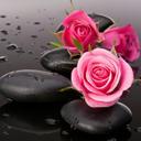 Alisha Morrow - @6ecbc306979246b - Twitter