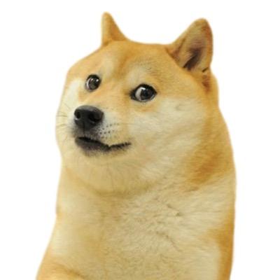 wow! much wow! so AUS! many all nighters! very Breakpoint!