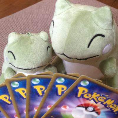 KerohahaSan's profile picture. 娘も大人になって、いつまで「母」を名乗るか悩み中。 ひとりでスポーツ観戦している時に五月蠅くなりがちで申し訳ない。 ポケモンカードゲーム(休止)/読み物/生き物/食べ物/編み物/iOS/レバンガ北海道