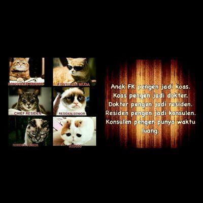 (`▽´)-σ (ʃ⌣ƪ)(`▽´)-σ (ʃ⌣ƪ)