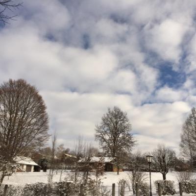 aalarjani9's profile picture. 