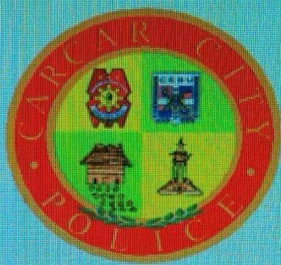 Carcar City Police Station, a station situated 48km South of Cebu, is manned by a competent police force ready to respond 24/7.