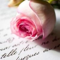 جنون   امرأه   (@sandamaz11) 's Twitter Profile