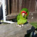 Renee Neeley - @93274476c30748d - Twitter