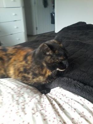 Tylah
