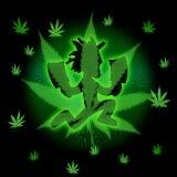 Sut_Mig69's profile picture. 