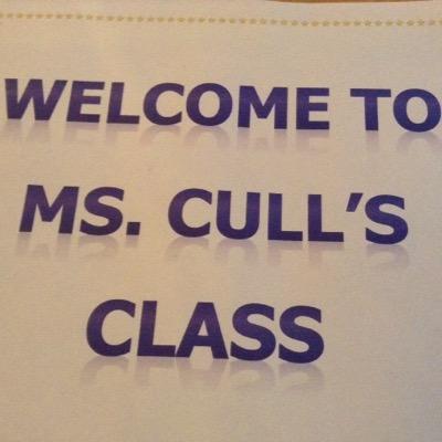 Ms. Cull is currently seconded to the National Council for Special Education (NCSE) as Assistant National Co-Ordinator (School Supports & Operations)