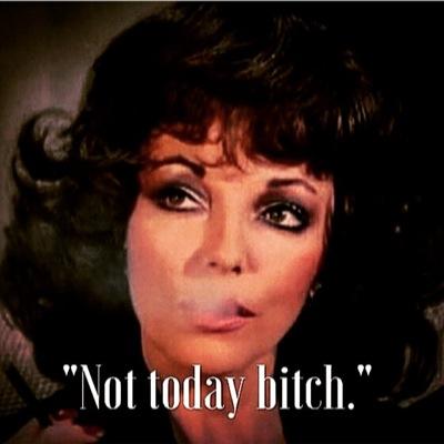 freebear_00's profile picture. 