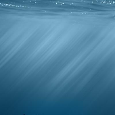 DeProfessionaal's profile picture. 