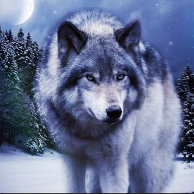 nV Returns !!!