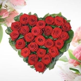 roseoptkzart's profile picture. Доставка цветов в Алматы! Занимаемся доставкой цветов на дом,сотрудничеством и оптовой продажей! Наш контактный телефон 8-702-618-4444, 8-705-399-5555!