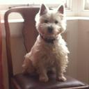 Glen McNeill - @mcneill157 - Twitter