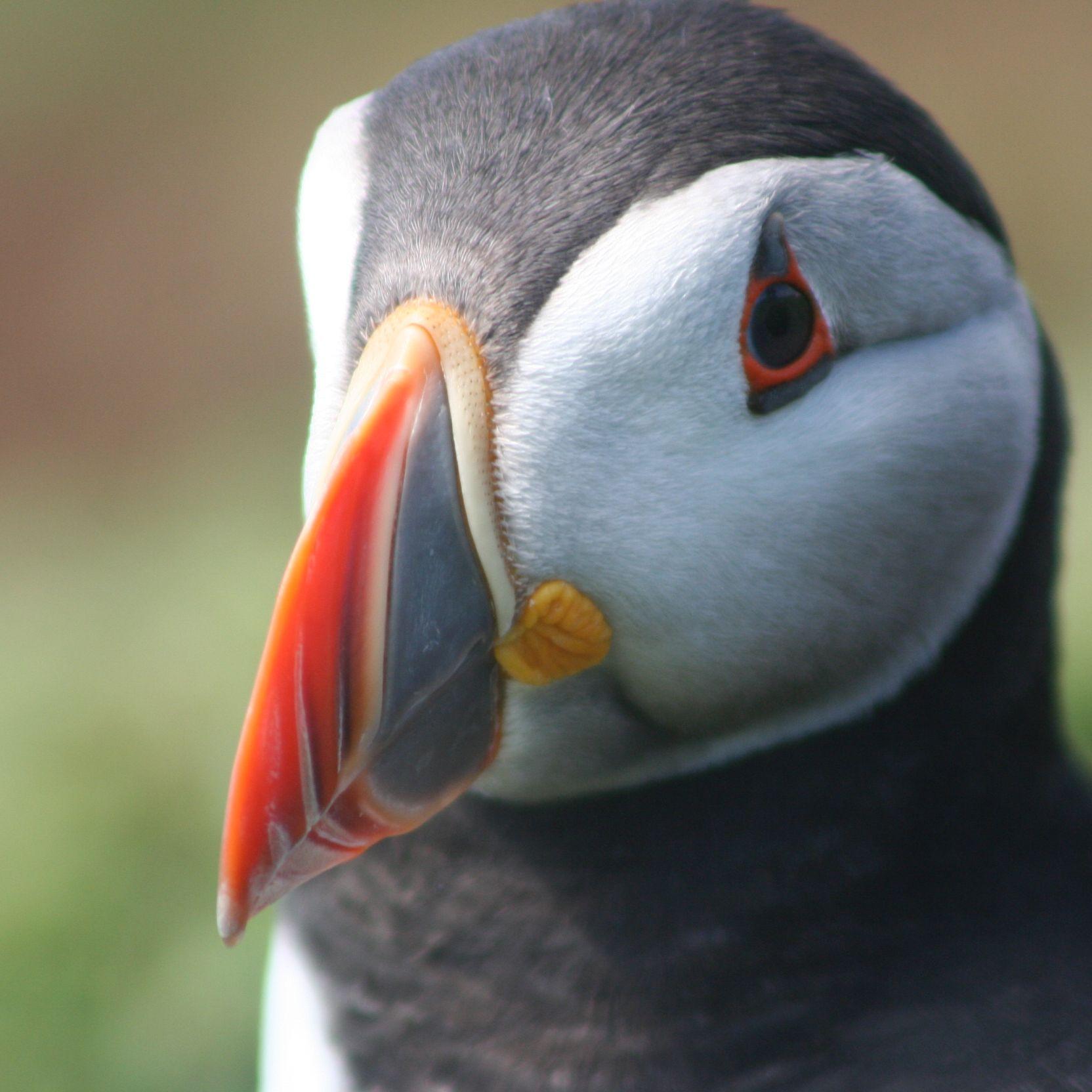 JohnisJae's profile picture. Eco-radical. Communist. Libertarian.