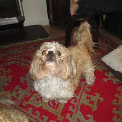 mjfglenlea's profile picture. 