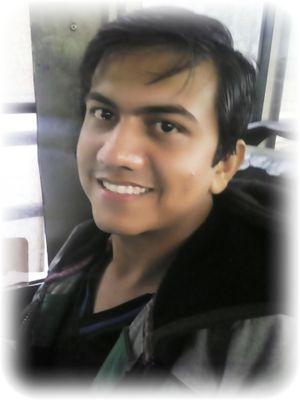 | Chartered Accountant by profession |