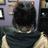 Profile Picture of Abra (@@abra_black) on Twitter