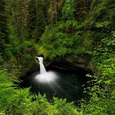 PeskyM8's profile picture. (I am not the original Peskys, im the cooler one)
I spin around and press buttons.
i also run around the map pew pewing people.