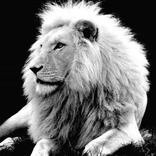 hatergalau1's profile picture. Dedicate time every day, without fail, to expressing your creativity. Allow yourself to be poured into a tangible creation. It's freedom.