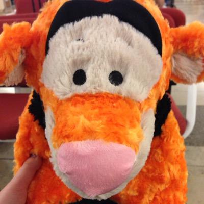 tech geek, photog, runner, foodie, film nerd, knitter/crocheter, sewist, tiger obsessed, full of sarcasm & snark. She/Her
