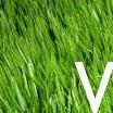 Village: supporting our superb local businesses.   Green: Caring for the environment and working with other community groups in the village.