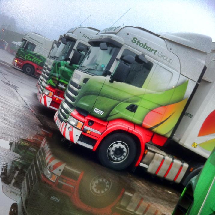 daniel0166's profile picture. 