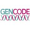 GencodeGenes's profile picture. Human And Vertebrate Analysis aNd Annotation (HAVANA) team, part of the Ensembl group at the European Bioinformatics Institute.