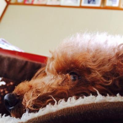 やること多すぎ。結局常に勉強。過失が許せません。故意はなおさらです。
