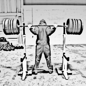 BarbellThought's profile picture. Delivering unbiased fitness articles weekly.