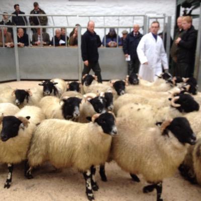 VernonPA's profile picture. Retired from 9 - 5 work; Amateur Farmer.