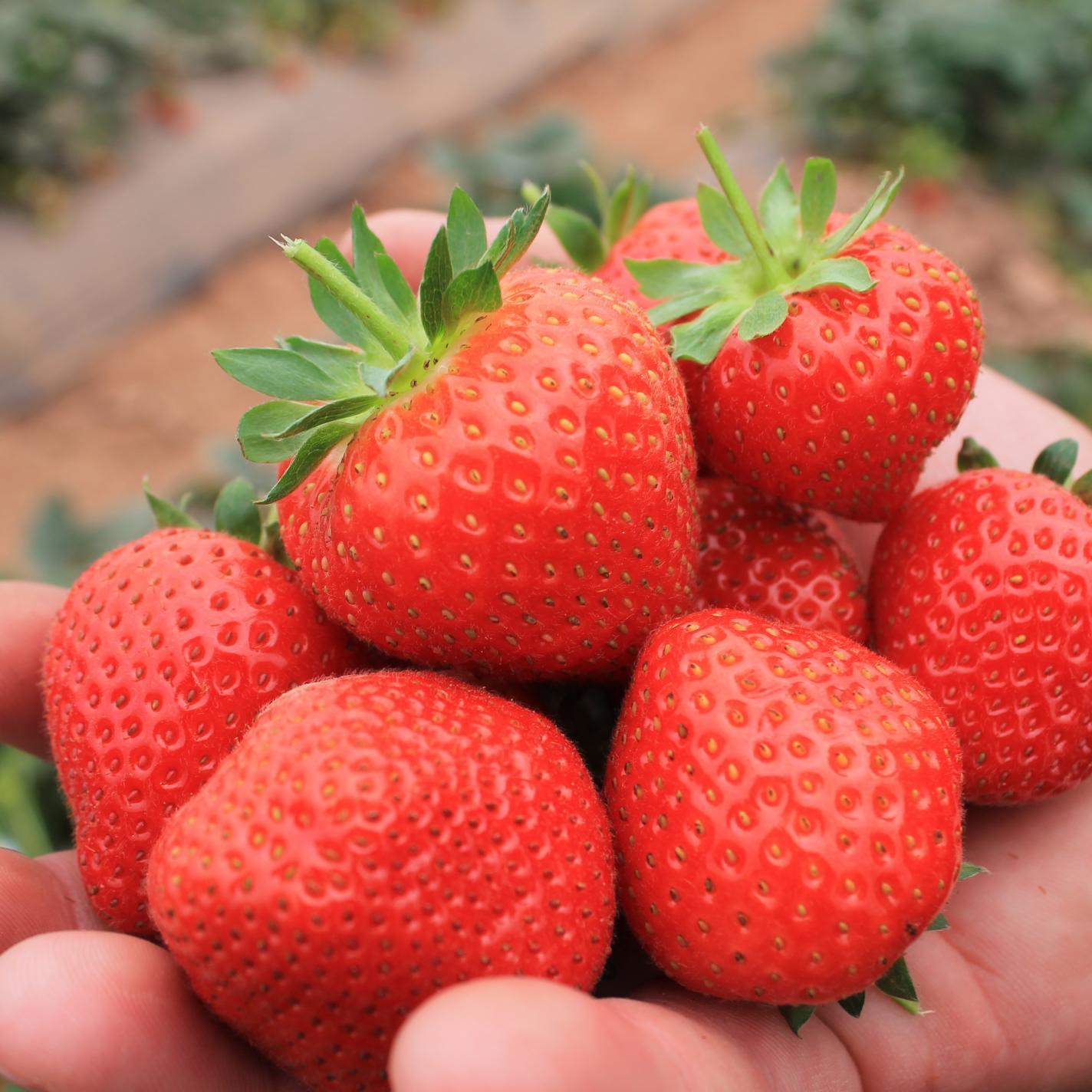 littywood's profile picture. 