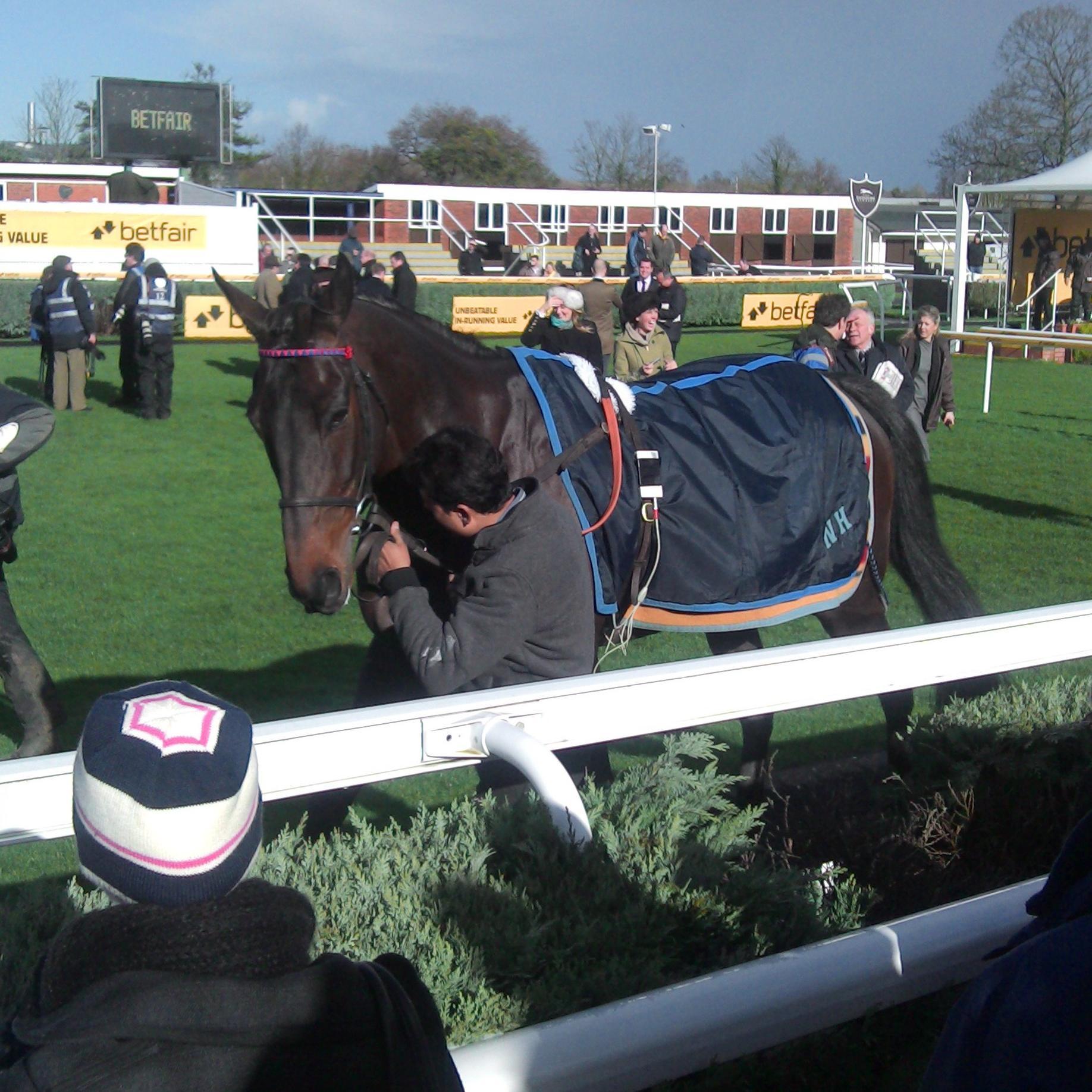 NH racing, Greyhounds, Speedway, Football and Rugby League. Also like travelling and a few beers.