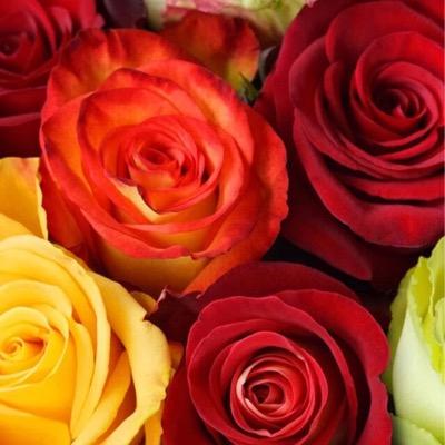 R19Yeas's profile picture. ماجستير إدارة وتخطيط تربوي،أسعى دائمًا لتحقيق الأفضل.