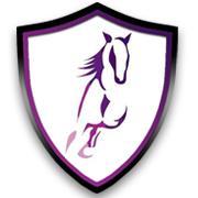 Family run equine transport company located in the heart of Aberdeenshire, specialising in express delivery of your horses or ponies to any location in the UK.