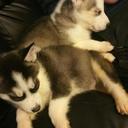 Michelle eppard - @1924mle - Twitter