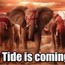 David Bice - @DavidBice1 - Twitter