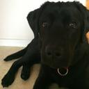 Silas Andersen - @mbforver1905 - Twitter