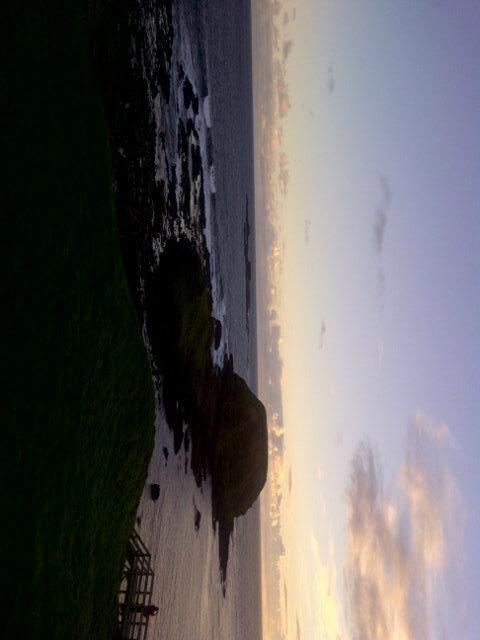 8botai_real's profile picture. 