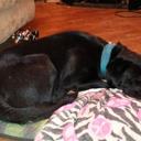 Jerry Springfield - @m32912998 - Twitter