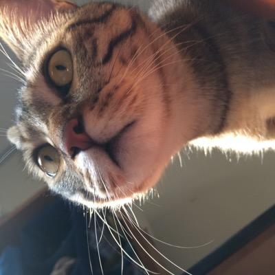 rutherford365's profile picture. 