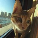 • - @michael_perrone - Twitter