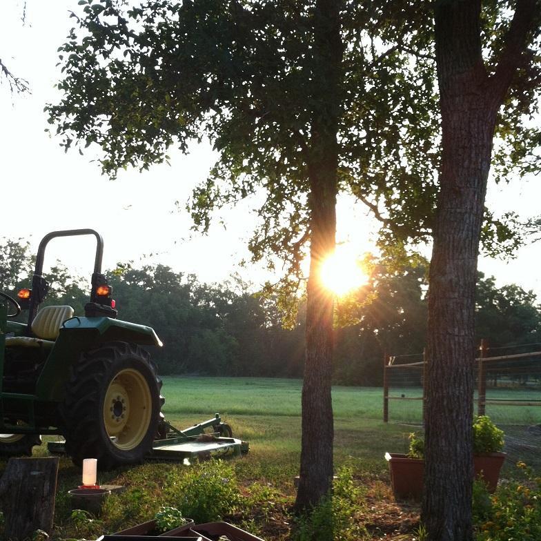 Writer, reader, photographer, baseball fan, homesteader, gardener, builder, & extraordinary chicken, cat, cow & dog mom #thislifeinthepasture #backtheblue