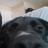 argen_can's profile image