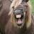 ElPotro266's profile image