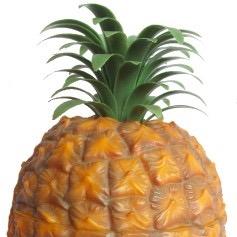 We are the home of the iconic pineapple ice bucket.