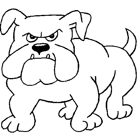 jldiniz1's profile picture. 